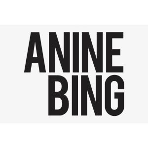 Anine-Bing.png