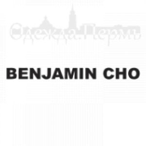 Benjamin-Cho.png