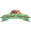 michal-negrin-logo.jpg