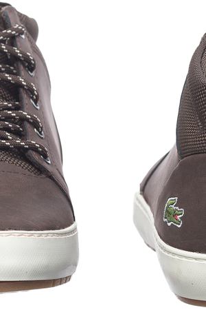 Ampthill Chukka 416 1 Lacoste 224513