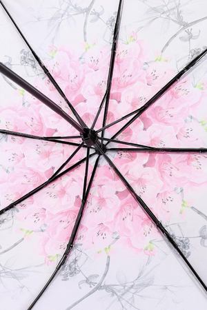 Зонт складной Ted Baker London TED BAKER 148975 вариант 3 купить с доставкой