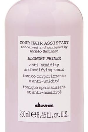 DAVINES SPA Спрей-праймер для укладки волос / Your Hair Assistant Blowdry primer 250 мл Davines 88006 купить с доставкой